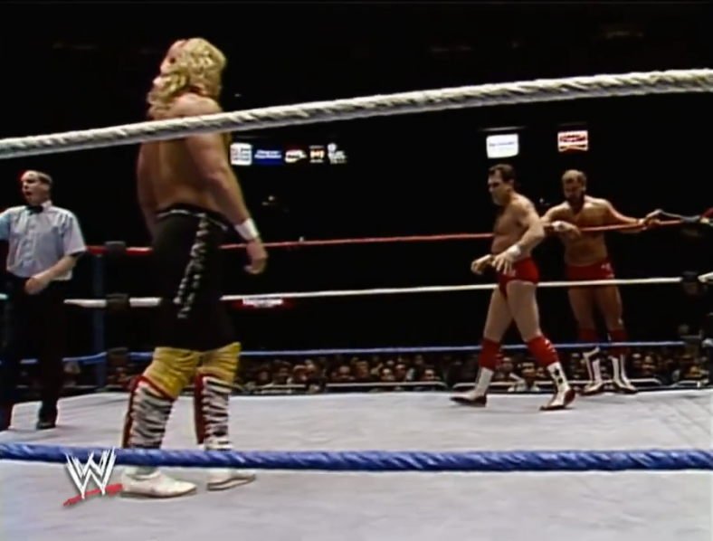 The Brain Busters vs The Rockers (WWF, 1-23-1989) | Tape Machines ...